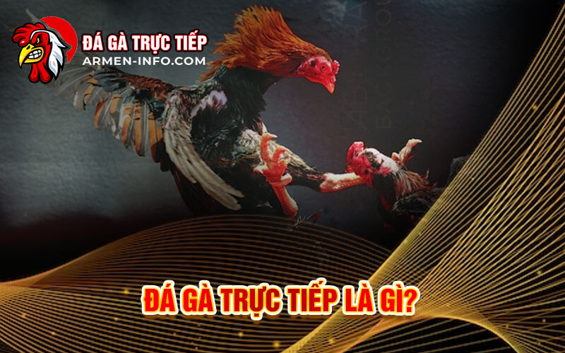 Giới thiệu về Đá gà trực tiếp 88