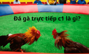 Cách Xem Đá Gà Trực Tiếp Tại Đá Gà Trực Tiếp 88